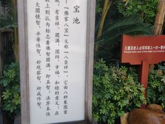 -韶关经律论国际酒店温泉