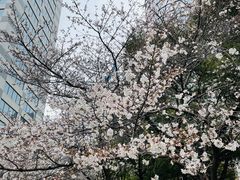 -玛格萝妮比萨屋(四平店)