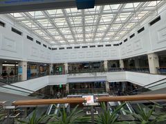 -上海市东方医院(总院)