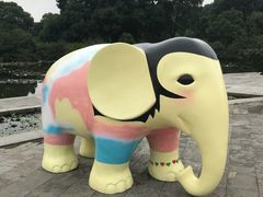 -白马涧龙池景区