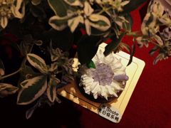 -黑池口感烘焙·生日蛋糕(坂田店)