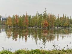 -白鹭湾湿地公园