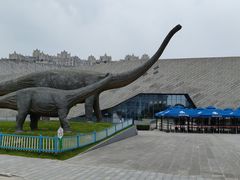 -安徽省地质博物馆