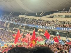 -南京奥林匹克体育中心-体育馆