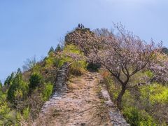 -蟠龙山长城景区
