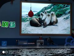 -蓬莱欧乐堡海洋极地世界