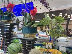 -半岛听涛蒸汽海鲜自助(K11店)