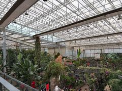 -沈阳植物园