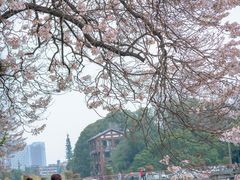 -红星桥(地铁站)