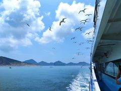 -海驴岛(荣成市)