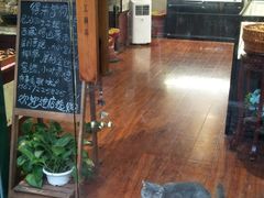 -猫色咖啡·猫咖