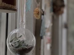 -海边的猫和咖啡馆