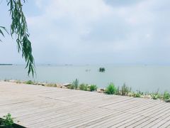 -巢湖姥山岛