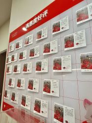 -上海玫瑰医疗美容医院