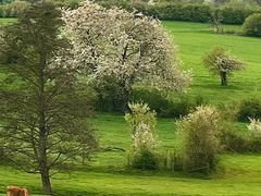 -中国人民大学游泳馆