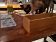 -more than meow吴止猫主题餐厅(承德 中船汇店)