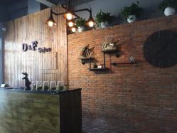 DF色彩沙龙-M hair salon
