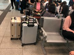 -尖沙咀中国客运码头