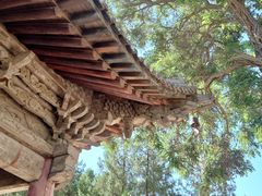 -张掖大佛寺景区