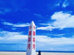 -东郊椰林