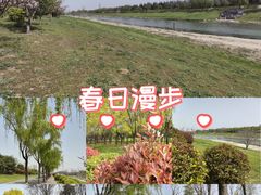 -洨河生态公园