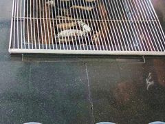 -粮心小农·大头虾亲子生态园(长发店)