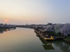 -海珠湖公园
