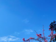 -晓港公园