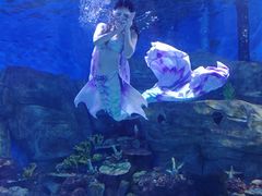 -顺德南宏海立方海洋公园