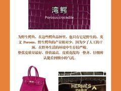 -海星奢选二手奢侈品手表包包鉴定回收寄卖(墨玉南路店)
