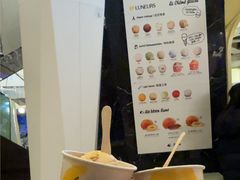 -LUNEURS月乐诗·法式冰淇淋(环贸店)