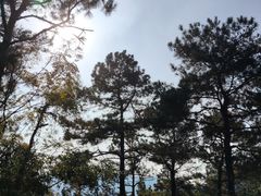 -九龙潭景区