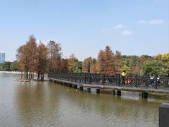 -海珠湖公园