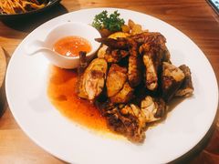 -百好乐宠物友好餐厅(朝外大街店)