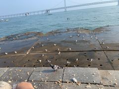 -星海广场