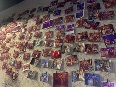 -Mr.Fox狐狸先生超级密室(南山店)