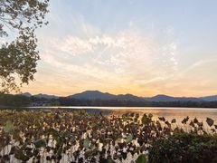 -西湖外事游船(花港观鱼码头)