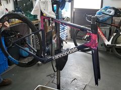 -上海魅力单车cannondale