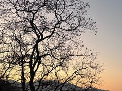 -东钱湖旅游度假区