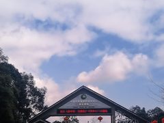 -中国大熊猫保护研究中心雅安碧峰峡基地