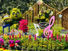 -上海共青森林公园