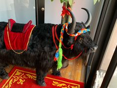 -后院犇牛主题餐厅(云岗店)