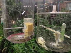 -蘇河湾·新鲁菜·泰山宴(泰山店)