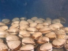 -同乐酒楼(皇后镇店)