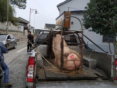 -前童古镇