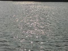 -雀儿山公园