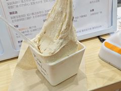 -野人先生现做冰淇淋(西安赛格店)