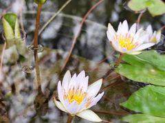 -云溪植物园