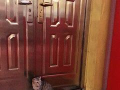 -H立方实景剧情密室(天河旗舰店)