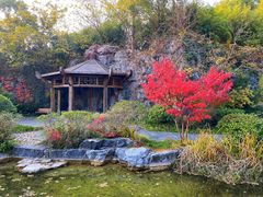 -上海吴淞炮台湾国家湿地公园
